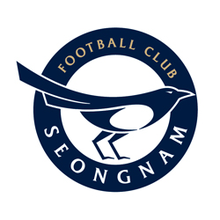 Seongnam Football Club,  성남시민프로축구단 team logo