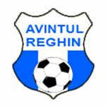 Avantul Reghin team logo
