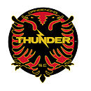 Dandenong Thunder team logo