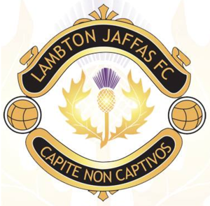 Lambton Jaffas Football Club team logo