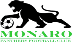 Monaro Panthers Football Club team logo