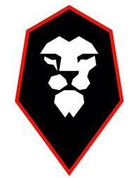 Salford City team logo