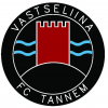 Tannem Vastseliina team logo
