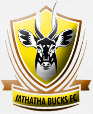 Mthatha Bucks team logo