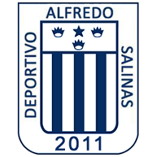 Alfredo Salinas team logo
