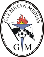 Gaz Metan Medias II team logo