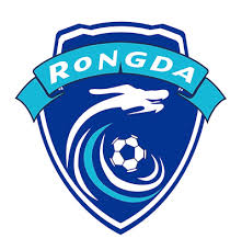 Boading Yingli Yitong team logo