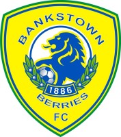 Bankstown Berries FC team logo