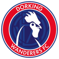 Dorking Wanderers team logo