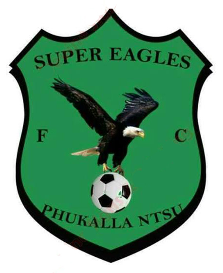 Super Eagles team logo