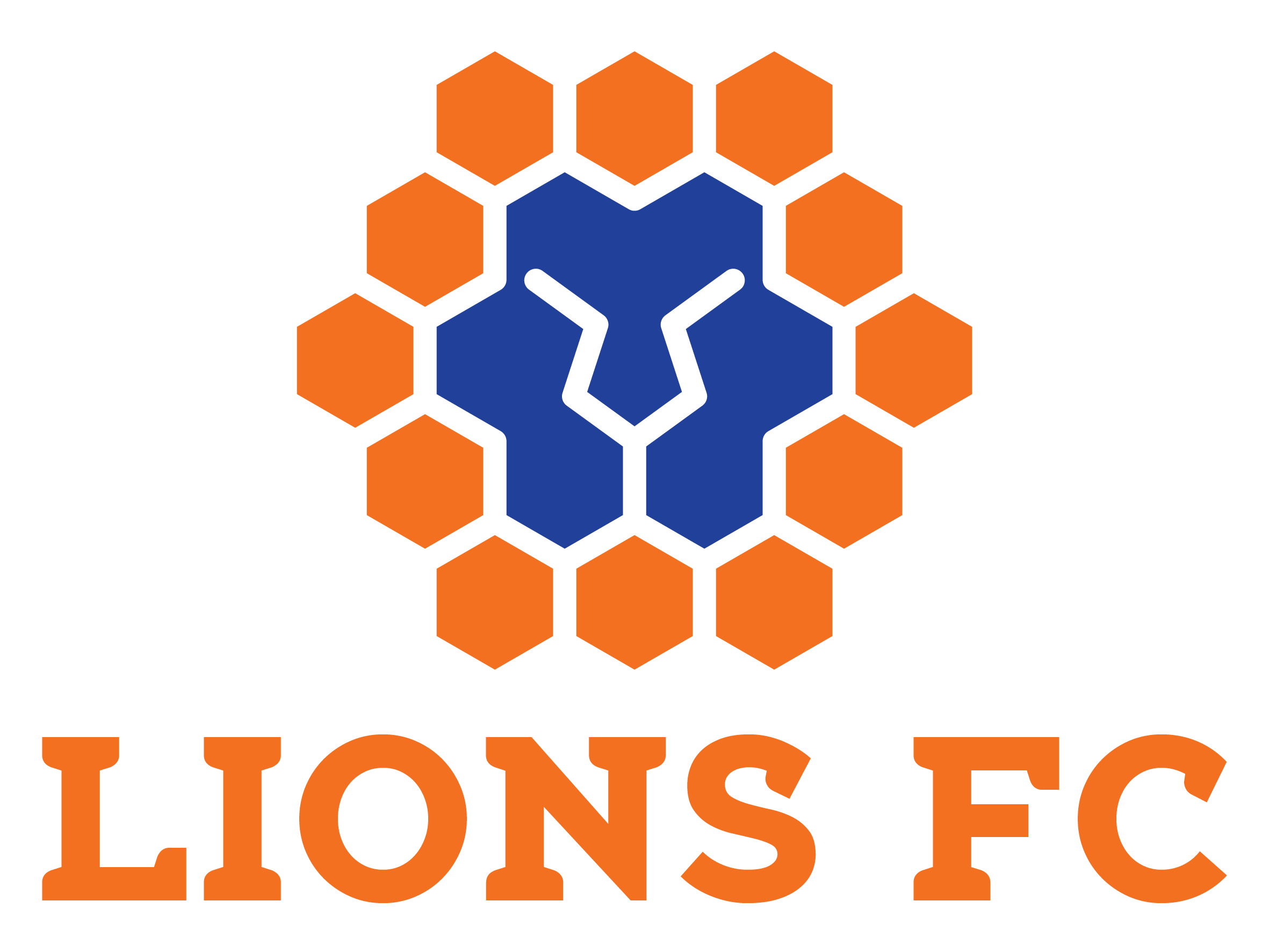 Queensland Lions team logo