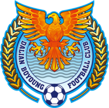 Dalian Boyoung team logo