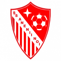 Agarista Anenii Noi (w) team logo