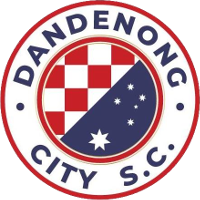 Dandenong City team logo