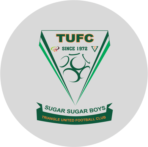 Triangle United team logo