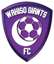 Wakiso Giants Football Club team logo