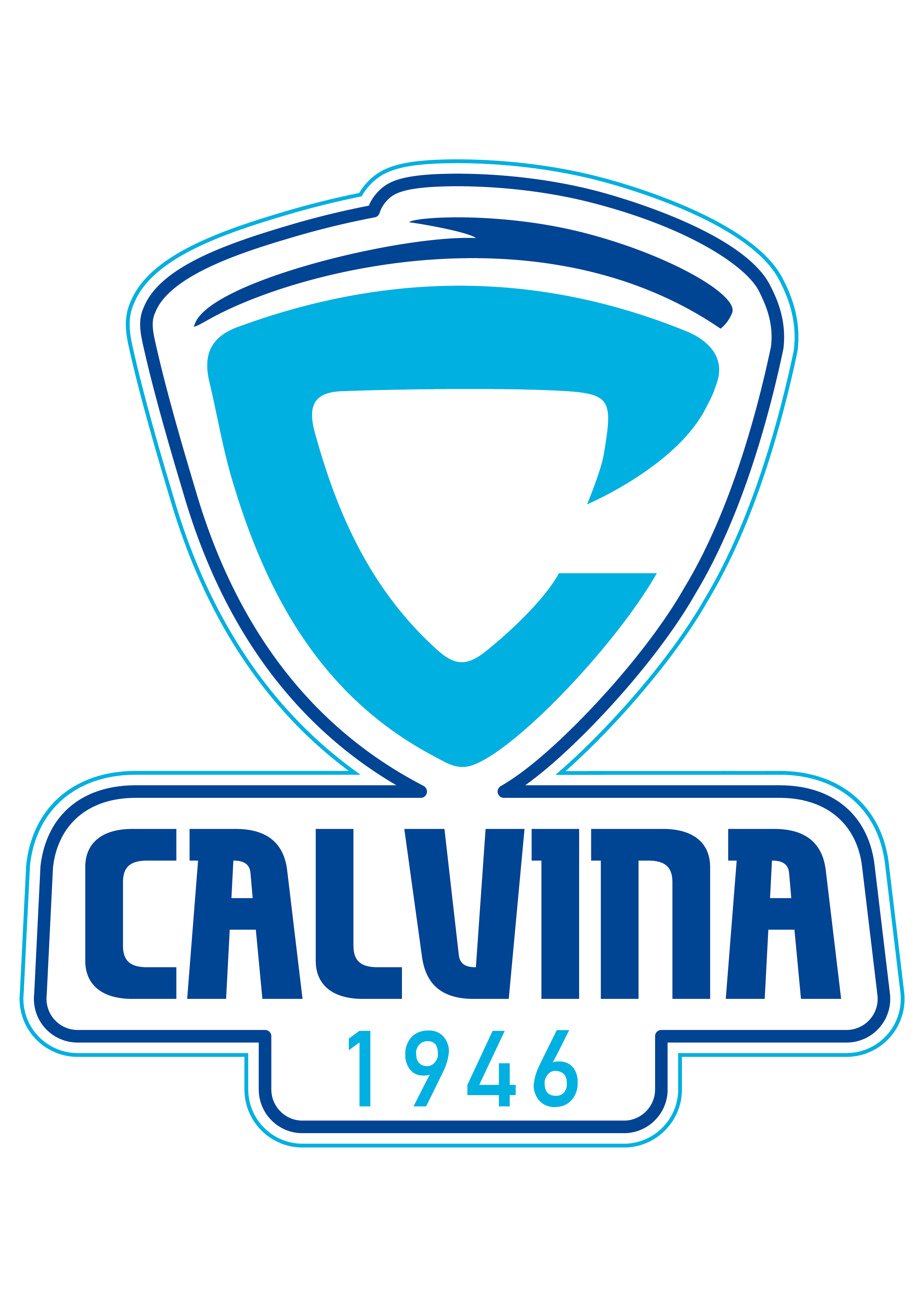 Calvina team logo