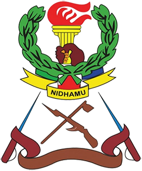JKT Tanzania SC team logo