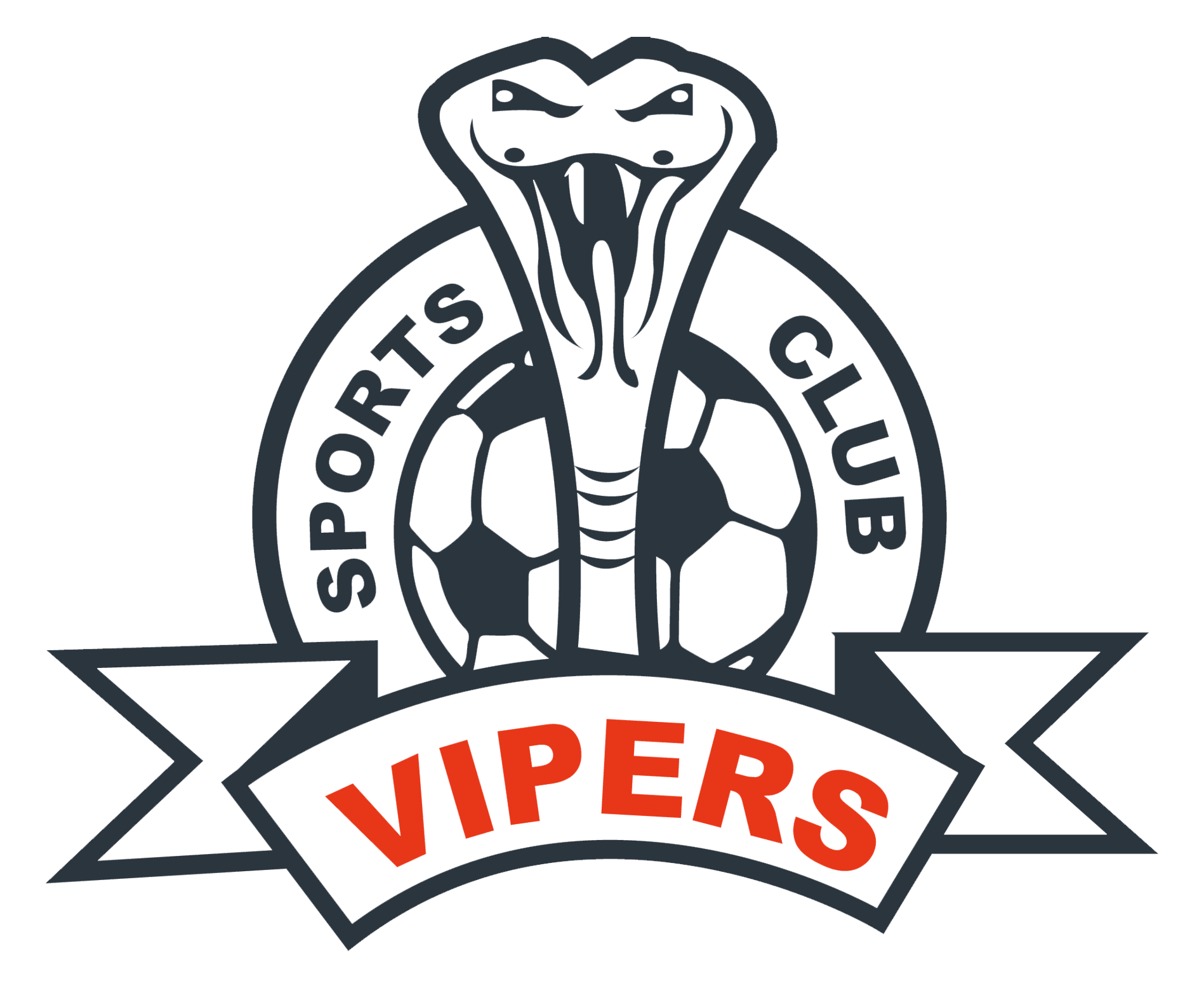 Vipers Sports Club team logo