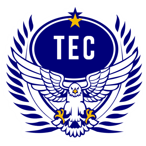 Taguatinga team logo