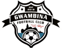 Gwambina FC team logo