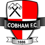 Cobham team logo