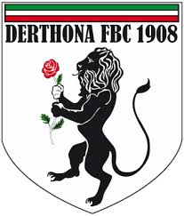 Derthona team logo