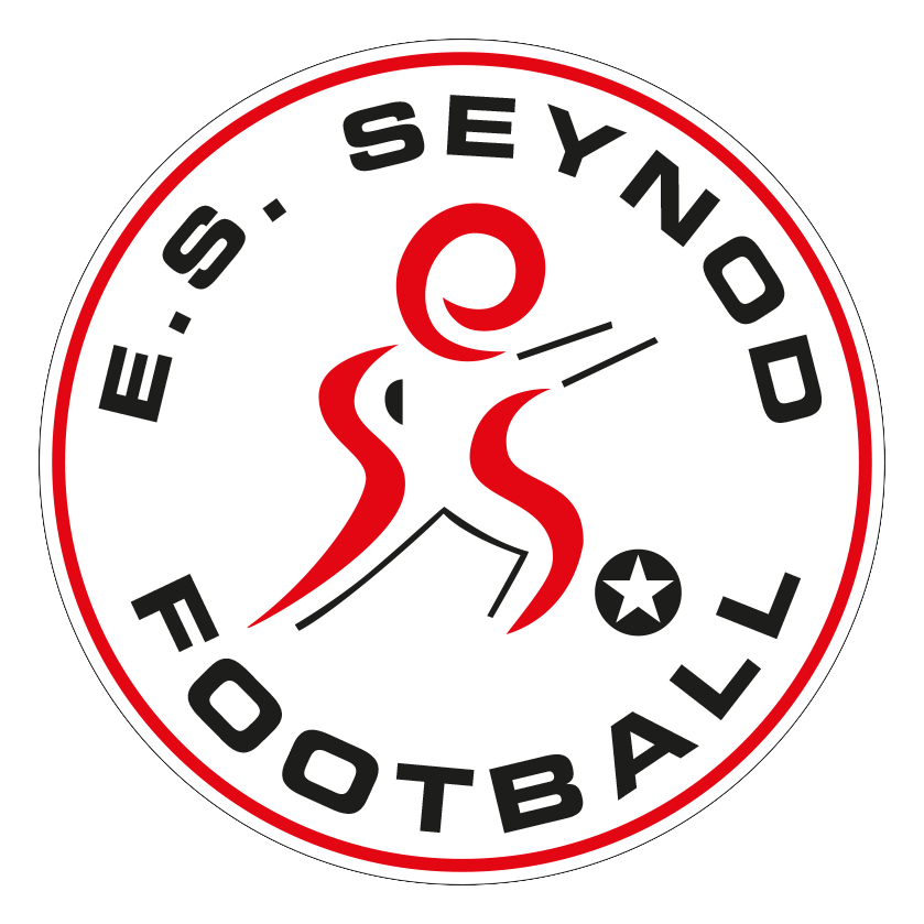 ES Seynod team logo