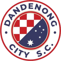 Dandenong City (u21) team logo