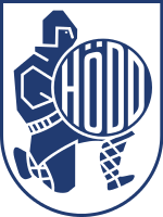 Hodd team logo