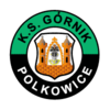 Gornik Polkowice team logo