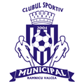 CSM Ramnicu Valcea team logo
