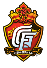 Gyeongnam Football Club, 경남도민 프로축구단 team logo