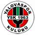 Yalovaspor team logo
