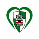 Ferroviario Maputo team logo
