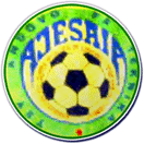Ajesaia team logo