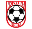 Zelina team logo