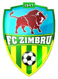 Zimbru Chisinau team logo