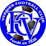 Vernier team logo