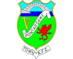 Pontardawe Town team logo
