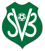 Suriname team logo