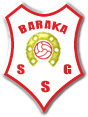 Baraka team logo