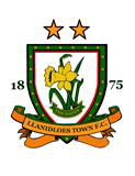 Llanidloes Town team logo