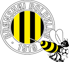 Bronshoj team logo