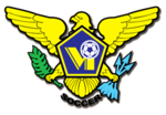 US Virgin Islands team logo