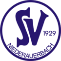 SVN Zweibrucken team logo