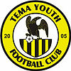 Tema Youth team logo