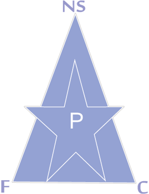 New Star team logo