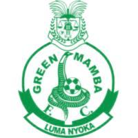Green Mamba team logo
