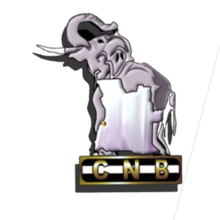 Nacional De Benguela team logo